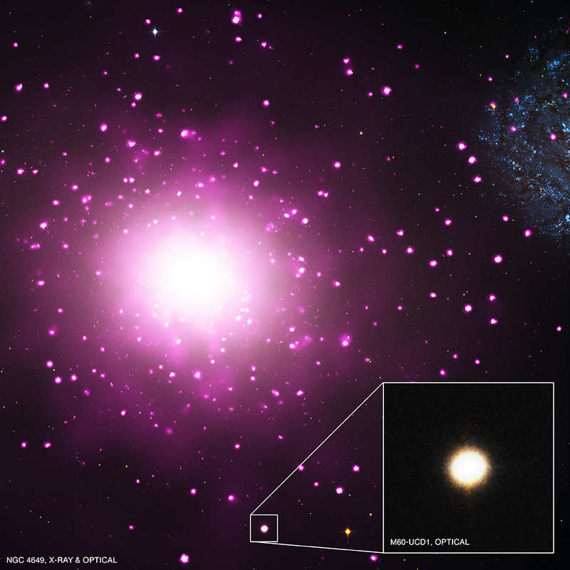 Illustration for article titled Astronomers Discover A Supermassive Black Hole Inside A Tiny Galaxy